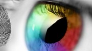 Biometric Access Systems