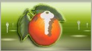Orange County Locksmith
